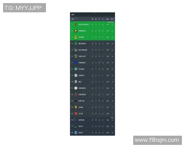 沙特足球明星数量揭秘及其在国际赛场上的影响力分析